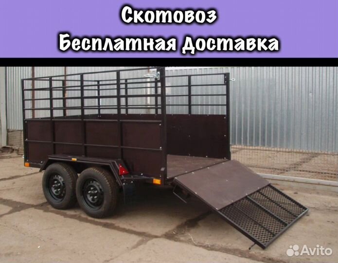 Скотовоз прицеп