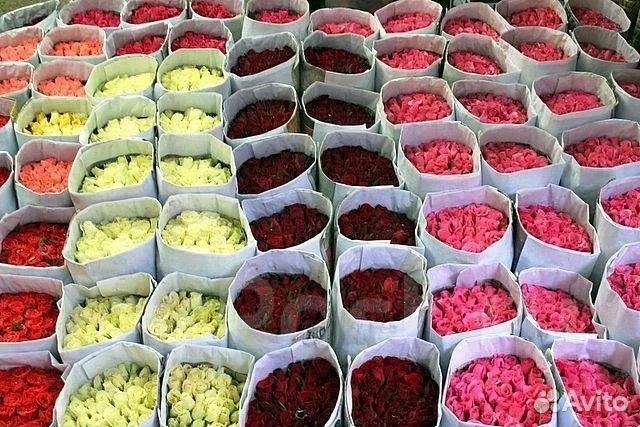 Тюльпаны к 8 марта оптом, розница