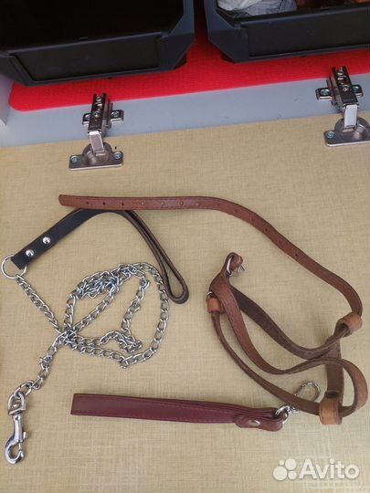 Шлейка для маленькой собаки