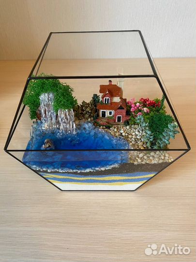 Флорариум суккуленты