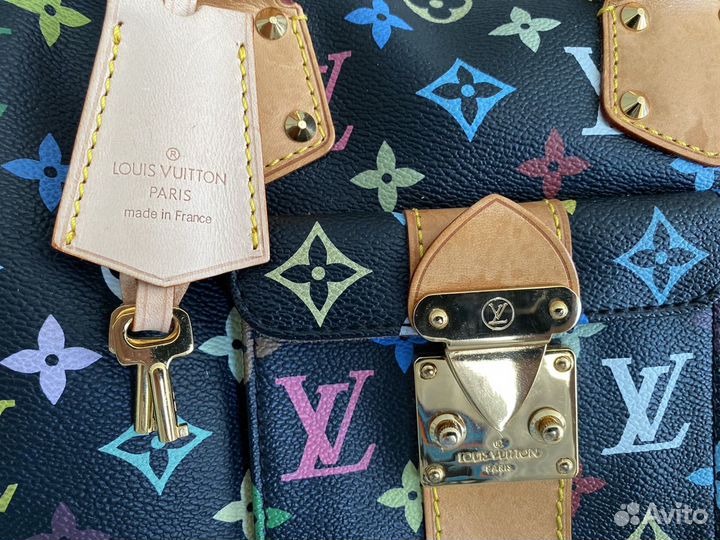 Сумка Louis Vuitton Speedy 30 многоцветная