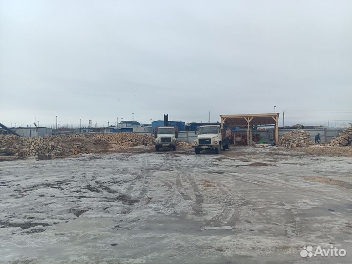 Дрова ольховые от 3м3