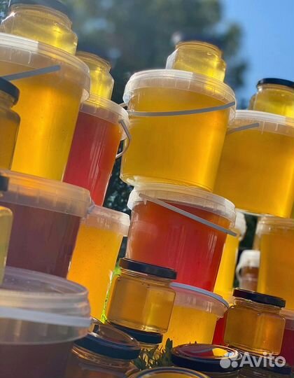 Алтайский мед