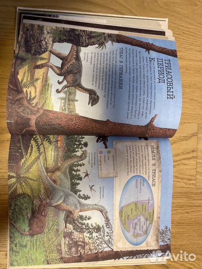 Книга о динозаврах