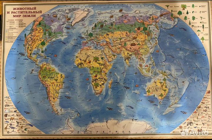 Карта звездного неба, карта мира