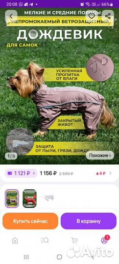 Дождевик для собаки девочки