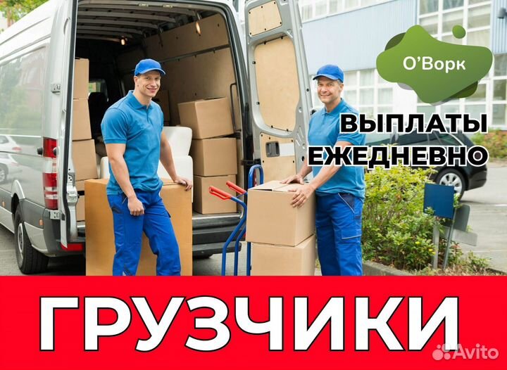 Грузчик экспедитор.xy537