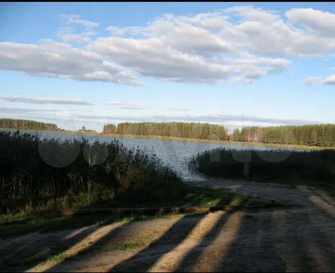 Участок 45 сот. (ИЖС)