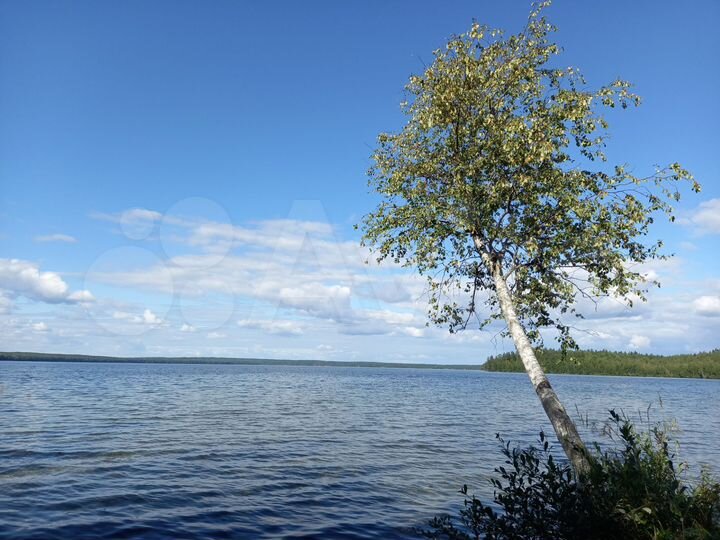 Дом 29,6 м² на участке 15 сот.