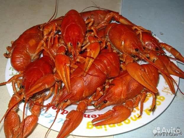 Голубые раки, пьяные монахи Crab, Shrimp, Food