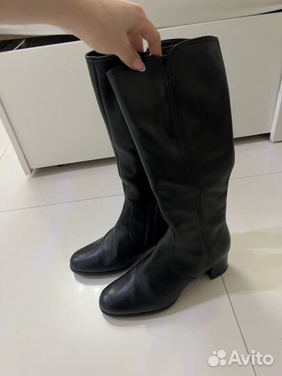 Сапоги женские зимние фарадей 37