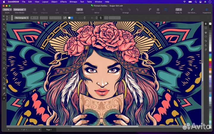 Coreldraw Graphics Suite 2022