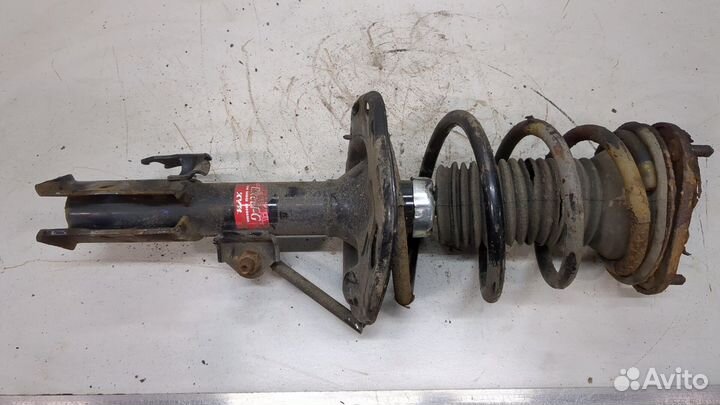 Амортизатор подвески Toyota Verso, 2010