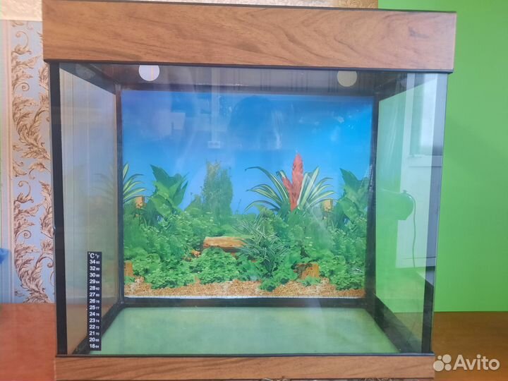 Аквариум