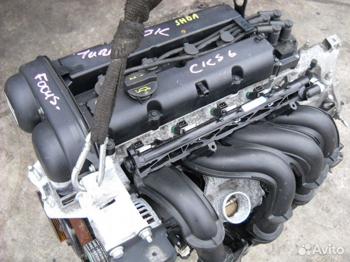 Б у двигатели форд. Контрактный двигатель Форд фокус 2. SHDA двигатель 1.6 Форд фокус. ДВС Форд фокус 1.6. SHDA двигатель 1.6 Форд фокус 2.