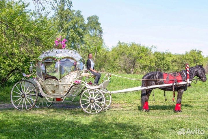 Карета 