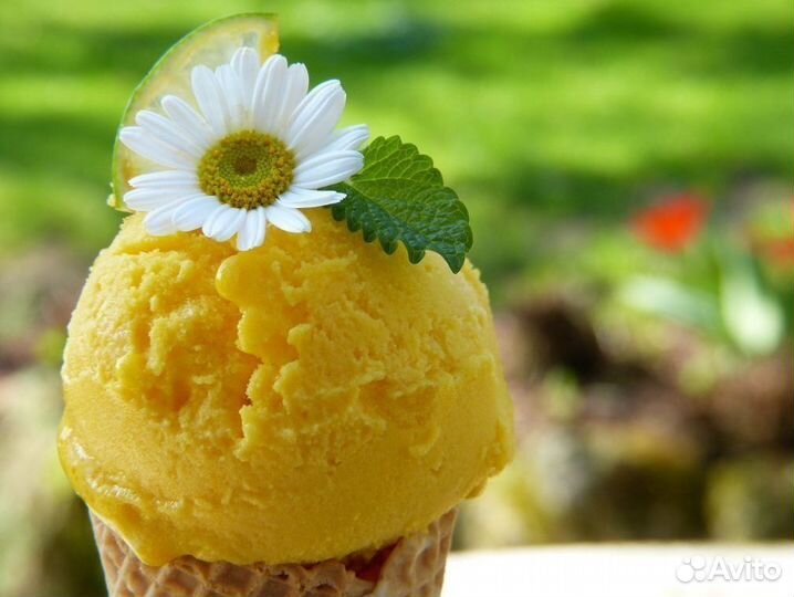 Готовый бизнес: франшиза эксклюзивного мороженого