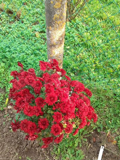 Дом 135 м² на участке 20 сот.