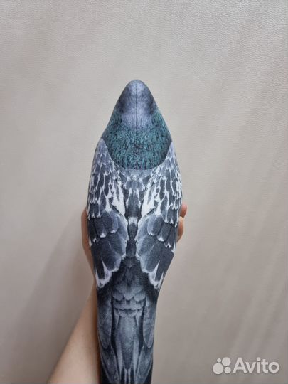 Продажа голубей