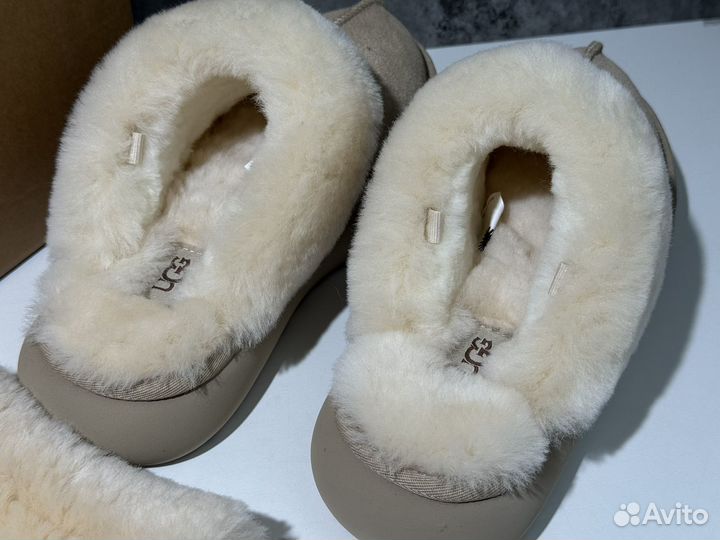 Меховые тапочки Ugg Slippers Disquette Sand