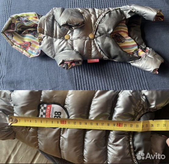 Одежда для собаки