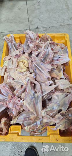 Куринные кости