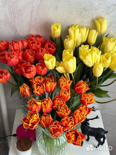 Тюльпаны к 8 марта