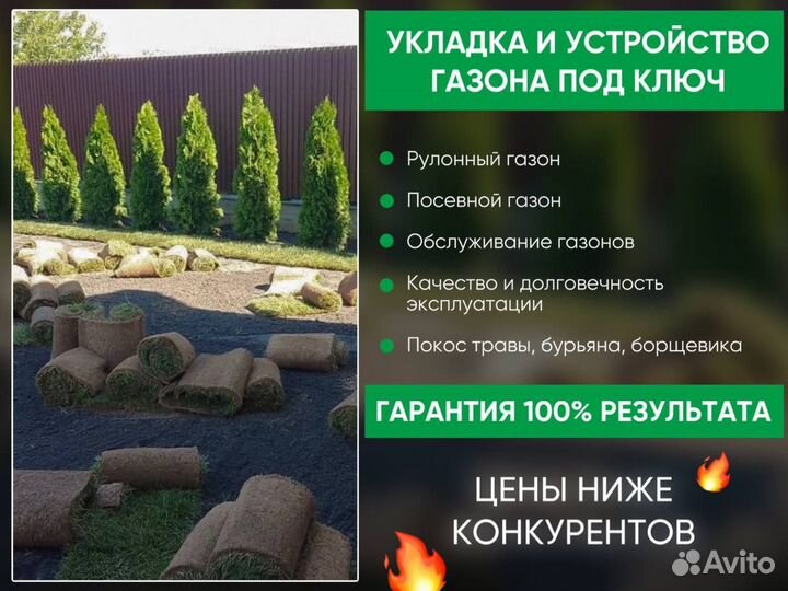 Укладка и устройство газона под ключ. Покос травы