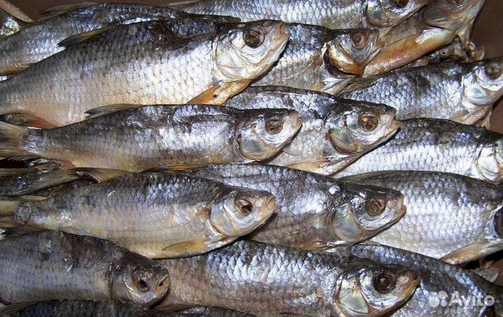 Астраханская вяленая вобла