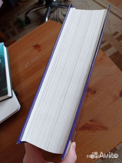 Лялякин П.В. 