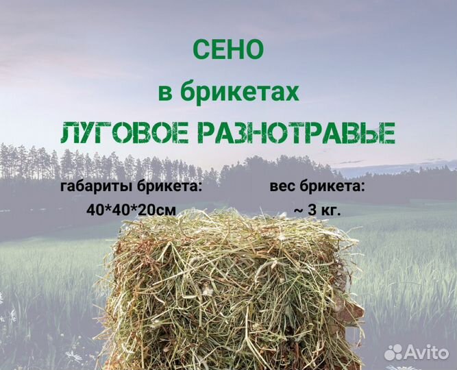 Сено для кроликов, свинок, птиц