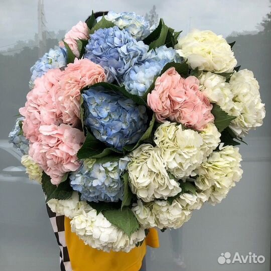 Гортензия/ букеты из гортензий
