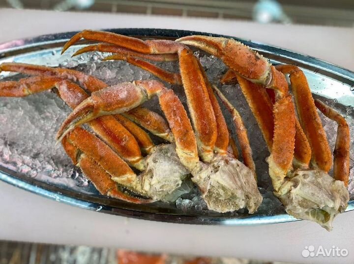 Клешни краба стригуна. Крупные