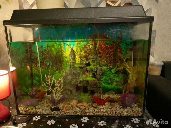 Аквариум в комплекте на 120 литров