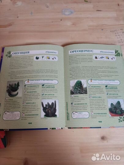 Энциклопедии о комнатных растениях