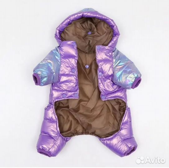 Одежда для маленьких собак