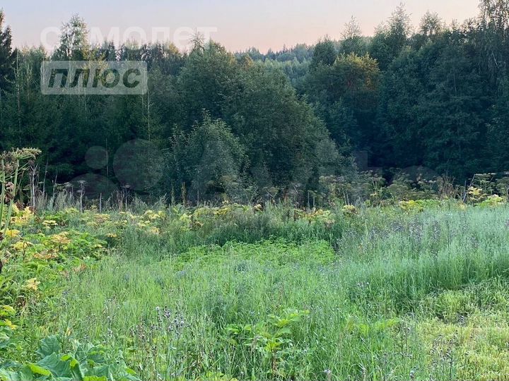 Участок 15 сот. (ИЖС)