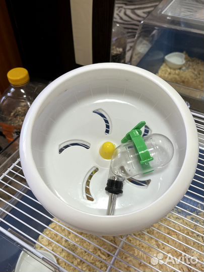 Колесо и поилка для хомяка