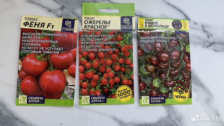 Рассада томатов