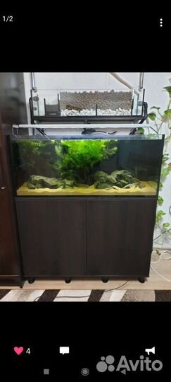 Аквариум на заказ и изделия из стекла