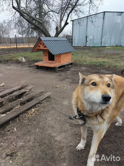 Скамейка садовая