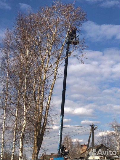 Услуги манипулятора