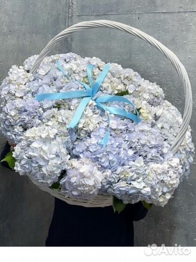 Корзины французская роза тюльпаны гортензии