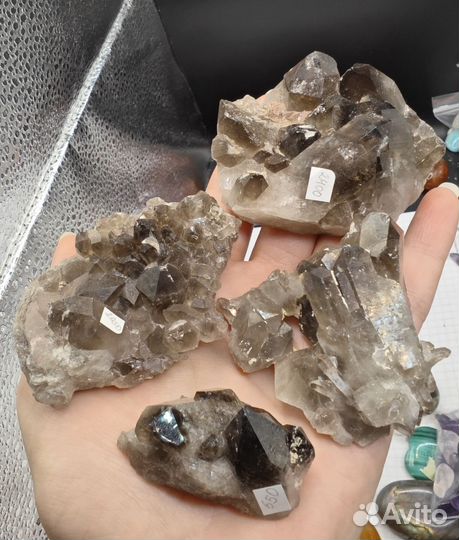 Дымчатый кварц друза раухтопаз