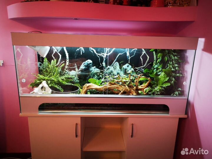 Террариум для рептилий, агамы, хамелеона, пауков