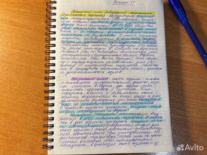 Написание конспектов, редактирование текстов