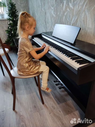 Педагог по музыке (сольфеджио, фортепиано и вокал)