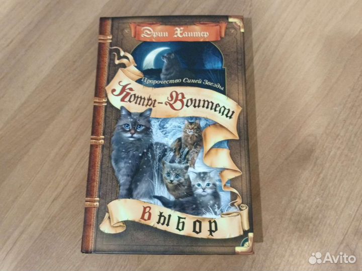 Новелла Коты воители
