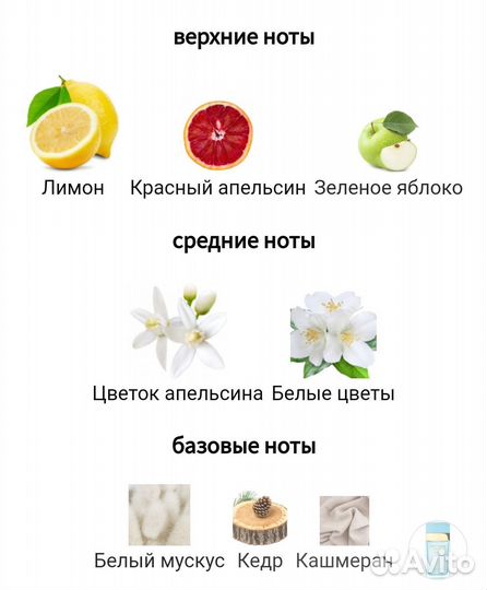 Dolce Gabbana Light Blue Forever pour femme 25ml