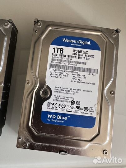 Жесткий диск 1 тб western digital